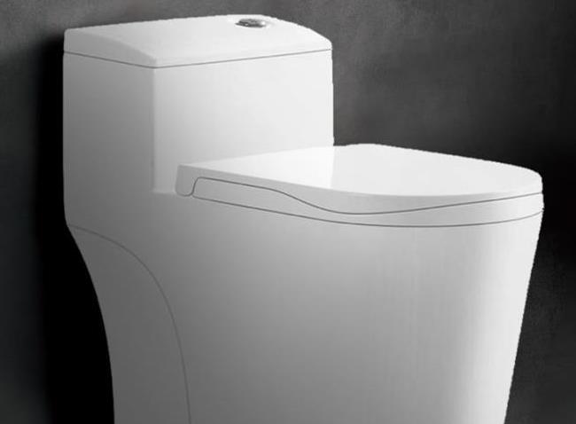 HOAA水箱马桶连体坐便器01-03023